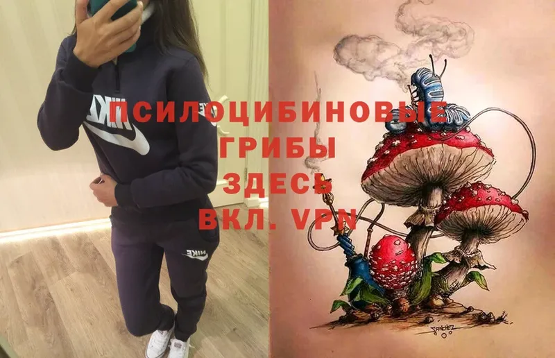 Псилоцибиновые грибы Psilocybe Покров